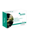 Boldo Boldo