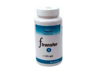 F Transfer 1