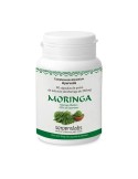 Moringa sistema inmune Moringa sistema inmune
