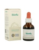 Ekinflu Ekinflu