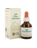 LES Pinus Montana LES Pinus Montana