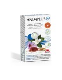 Animplus Animplus