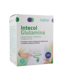 Intecol glutamina Intecol glutamina