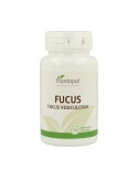 Fucus Fucus