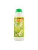Noni (sabor fresa) Noni (sabor fresa)