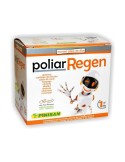 Poliar Regen Poliar Regen