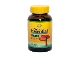 Reishi (micelio)