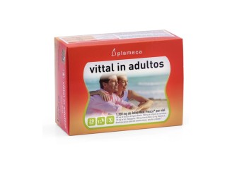 Vittal In Adultos