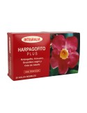 Harpagofito Plus Harpagofito Plus