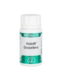Grosellero Holofit Grosellero Holofit