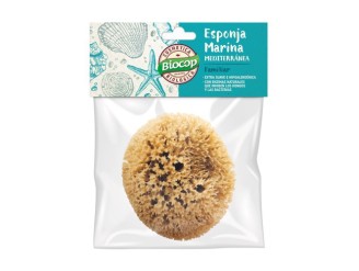 Esponja Marina Familiar
