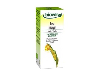 Zea Mays (Estigmas de Maiz) Tm