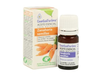 Aceite esencial de semillas de zanahoria