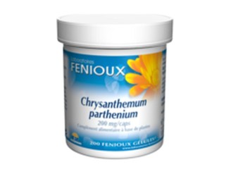 Chrysantemum Parthenium