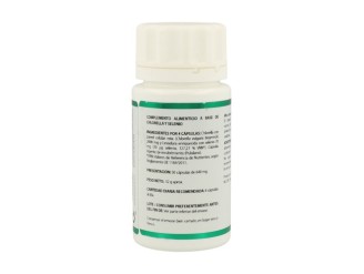 Holofit Chlorella 50cap - Desintoxica y Protege | Equisalud