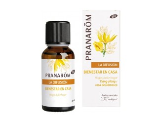 Sinergia de Difusión Bienestar en casa