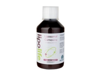 Lipolife liposomal carnosina