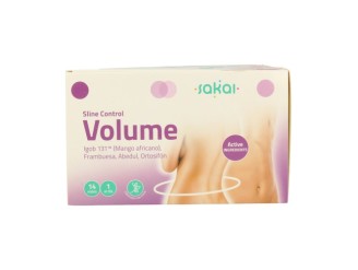 Sline Control Volume