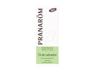 Aceite esencial de Té de Labrador