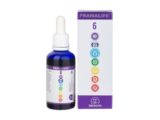 Pranalife 6 50ml: Armonizador Energético - Equisalud