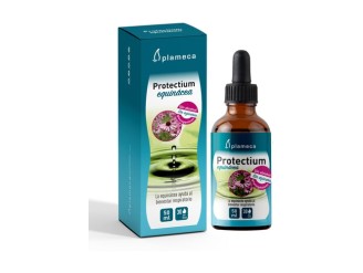 Equinácea Protectium Plameca: Bienestar Respiratorio Natural