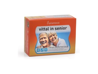 Vittal in Senior 20 Viales - Refuerza tu Inmunidad Natural | Plameca