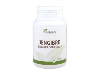 Jengibre 500mg Plantapol - Bienestar Digestivo Natural