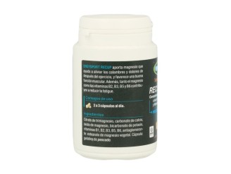 Ergysport Recup 60cap: Acelera tu recuperación muscular - Nutergia