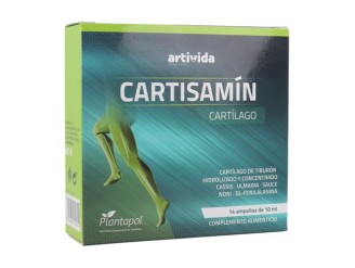 Cartisamin