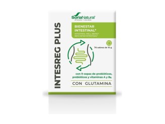 Intesreg Plus