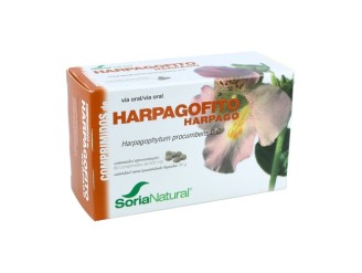Harpagofito