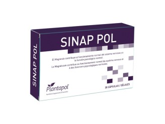 Sinap Pol