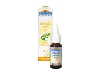 Clematis 20ml Biofloral | Conexión con el Presente Naturalmente