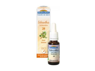 Scleranthus: Elixir Floral para Decisiones Difíciles - Biofloral
