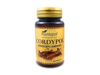 Cordypol 60cap: Refuerza tu sistema inmunitario - PlantaPol