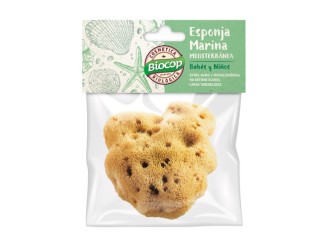 Esponja Marina para Bebés y Niños