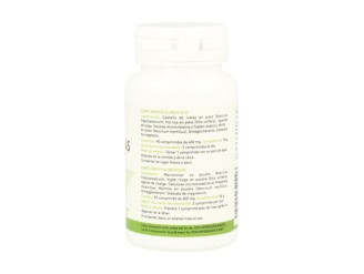Castaño de Indias, Vid Roja y Mirtilo para Circulación - Plantapol