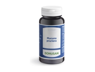 Mucuna Pruriens