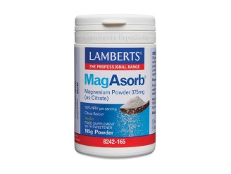 MagAsorb
