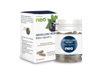 Grosellero Negro