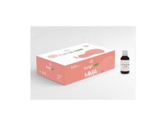 Fungineo MMA: Beneficios de Hongos Medicinales Ecológicos - Salud