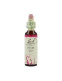 Bach Larch