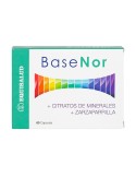 Basenor