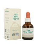 LES Ribes Nigrum