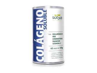 Colageno + Ácido Hialurónico + Msm