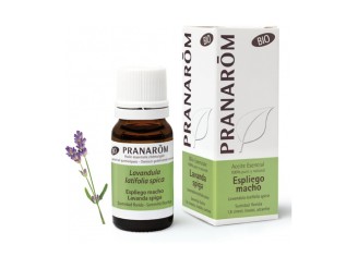 Aceite Esencial Espliego Macho (Lavandula latifolia)