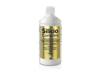 Complejo Silicio