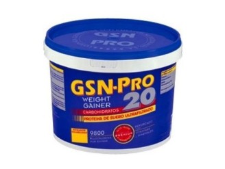 GSN-Pro 20 (Sabor Chocolate)