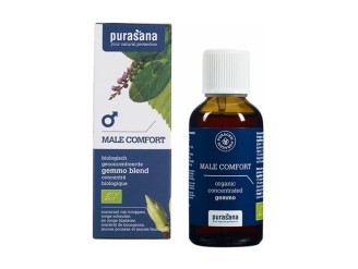 Confort masculino