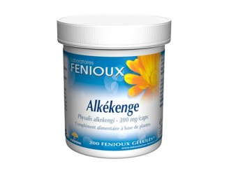 Alkekenge